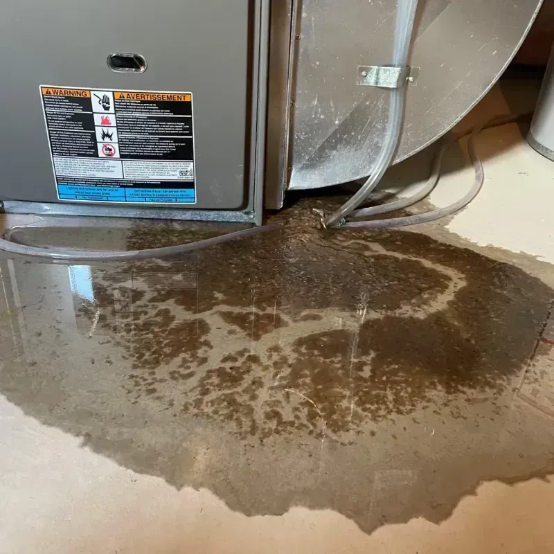 Appliance Leak Cleanup in Brownsville, NY